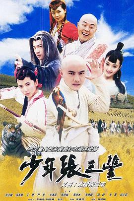 少年张三丰粤语海报